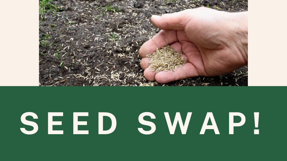 Seed Swap!